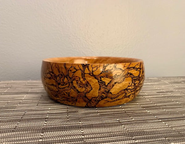 June Featured Artist: Elyssa Cichy