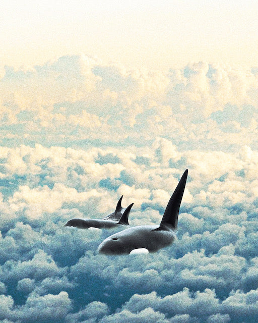 April Featured Artist: Naomi Amber Dawn