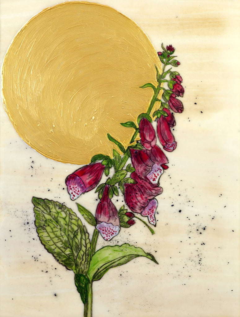 April Featured Artist: Salyna Gracie