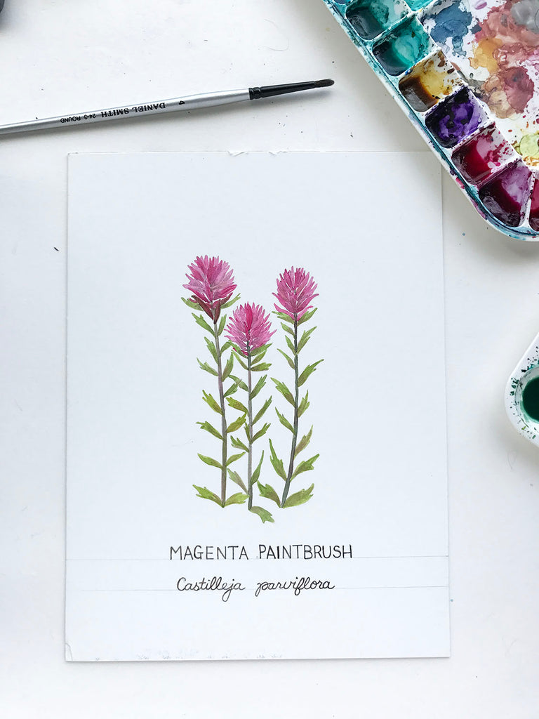 Watercolor Featured Artist: Brigida Swanson