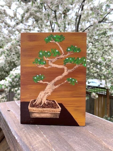 May Featured Artist: Elyssa Cichy